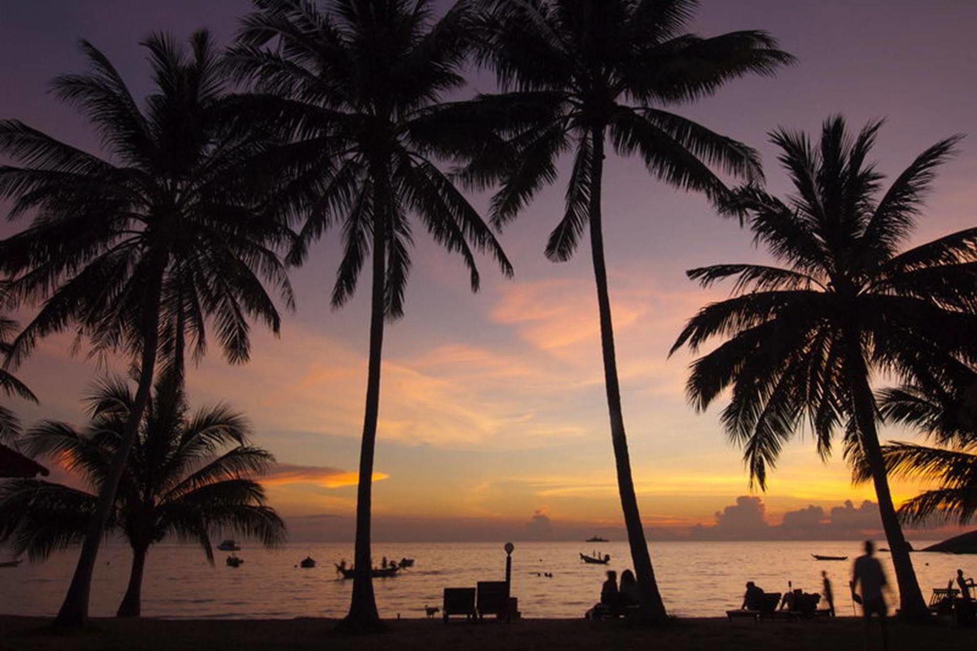 Palm Leaf Resort Ko Tao Luaran gambar